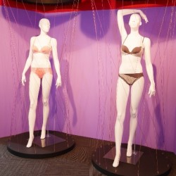 ノンワイヤーの着け心地でキレイなシルエット♡ 人気の第三のブラ