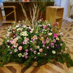 フリンジ？レースアップ？【オデット エ オディール】で探す新作シューズ